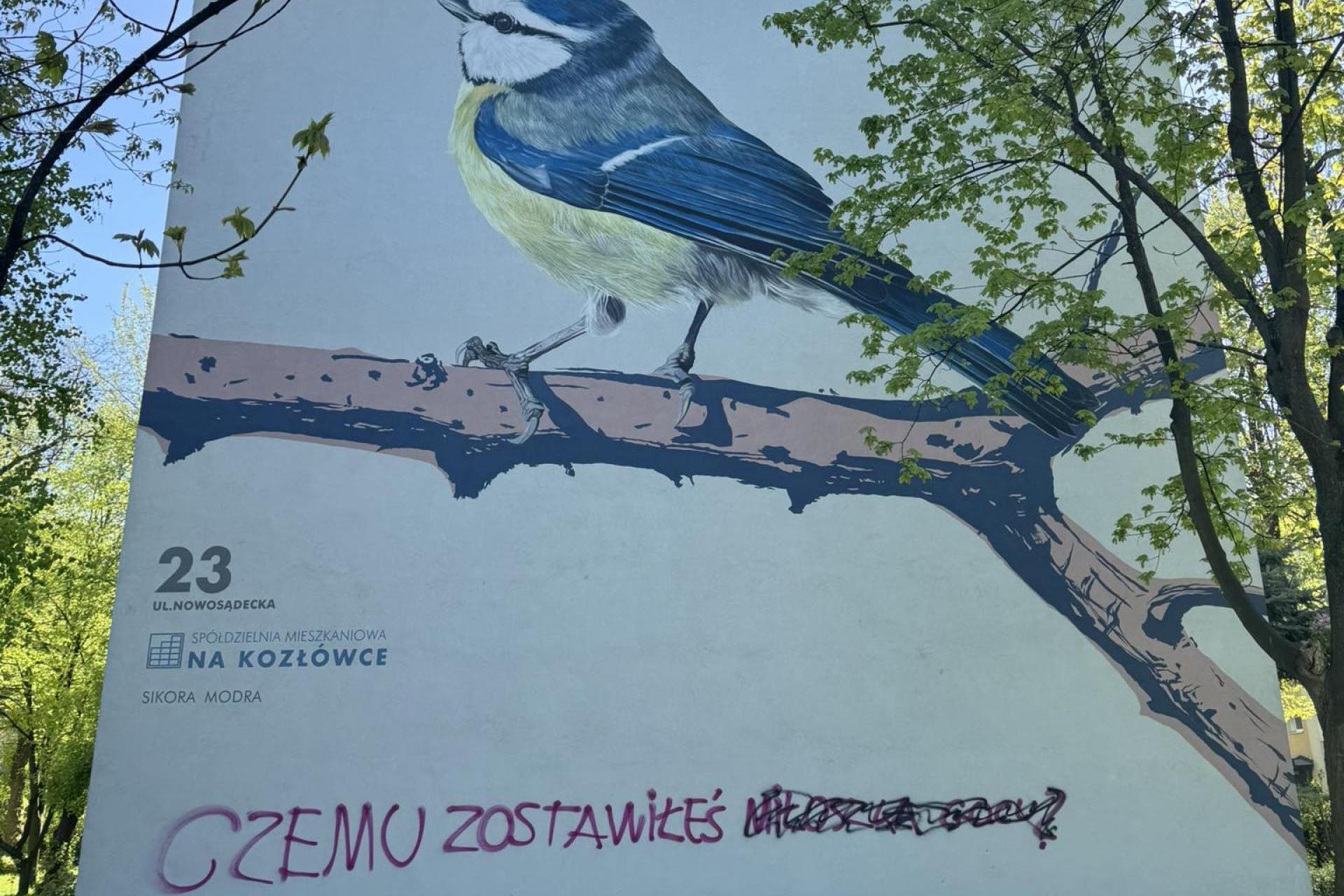Zdewastowali ptasie murale, które pokochali mieszkańcy. ?Bandyterka?