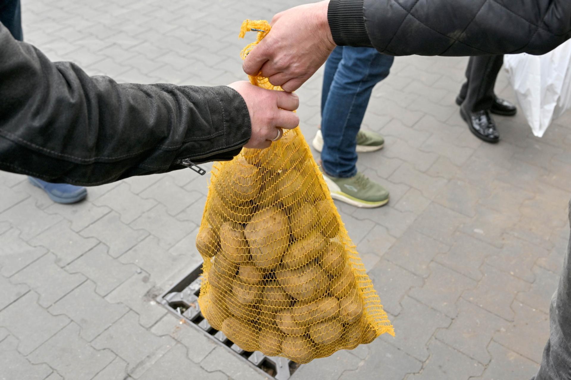 "Chodźże żywo po warzywo": Rolnicy oddają warzywa za darmo