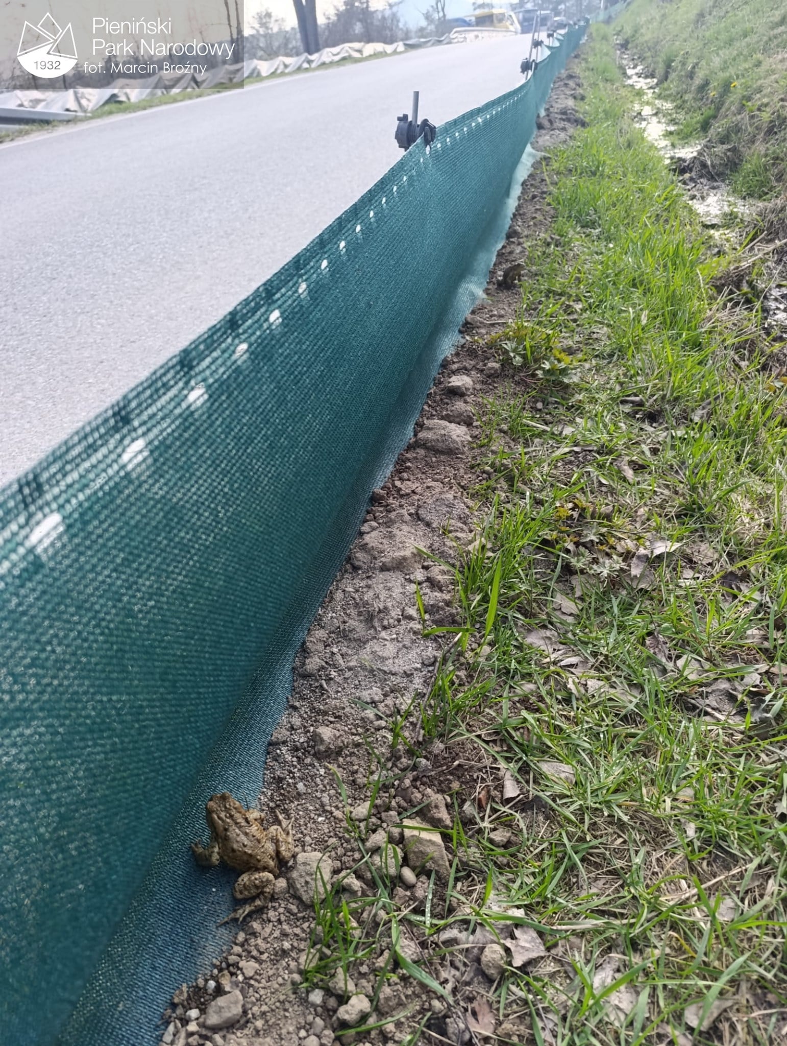 fot. z archiwum Pienińskiego Parku Narodowego