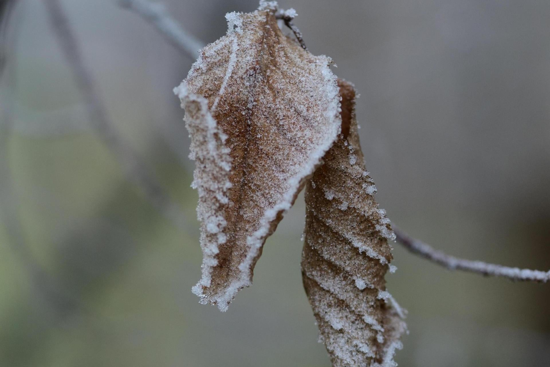 Środa umiarkowanie ciepła, w nocy na południu nawet... -6 stopni