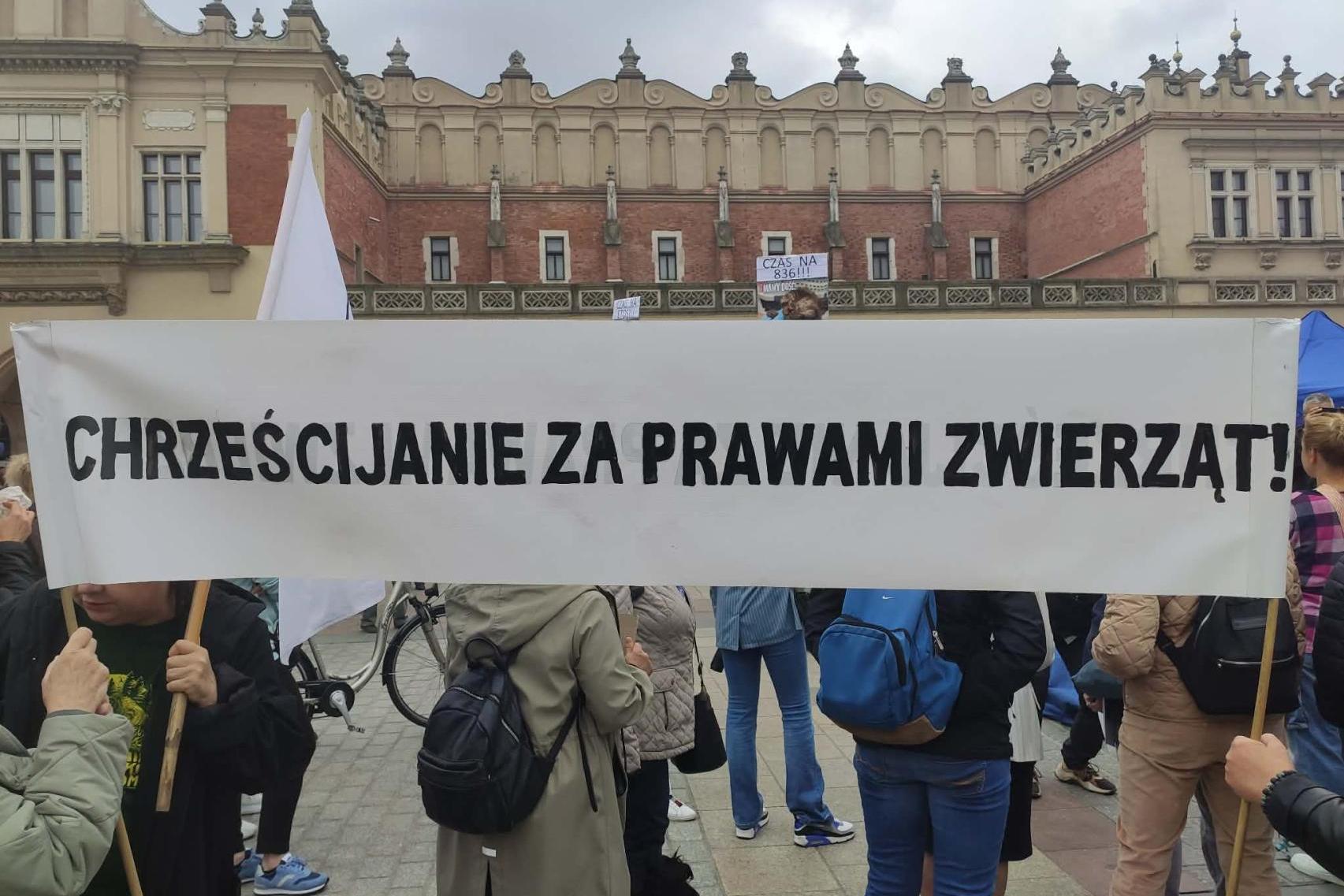 ?Stop bezkarności!?, ?Mamy dość!?. Protest obrońców zwierząt na Rynku Głównym