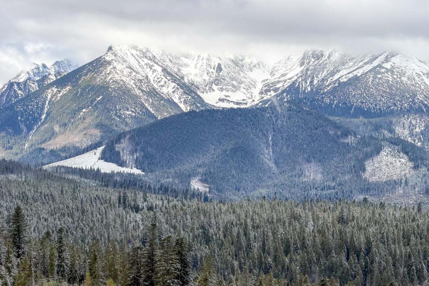 Pobieliło Tatry. Na Podhalu spadł... majowy śnieg