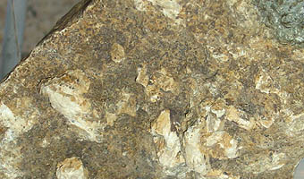 Hydroksyapatyt (fot. wikipedia)