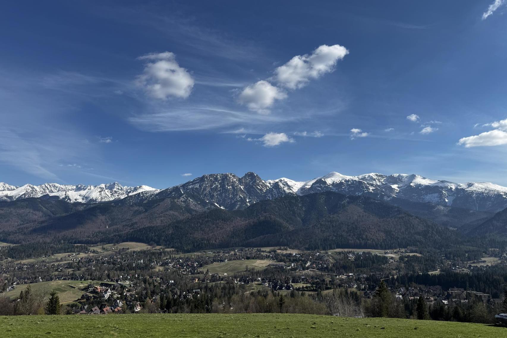 Zakopane sprawdza drzewa. Niektóre mogą zostać wycięte