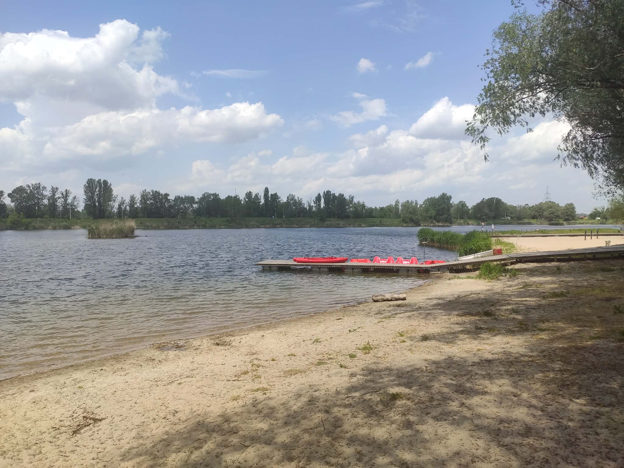 Przylasek Rusiecki, fot. Jan Pająk