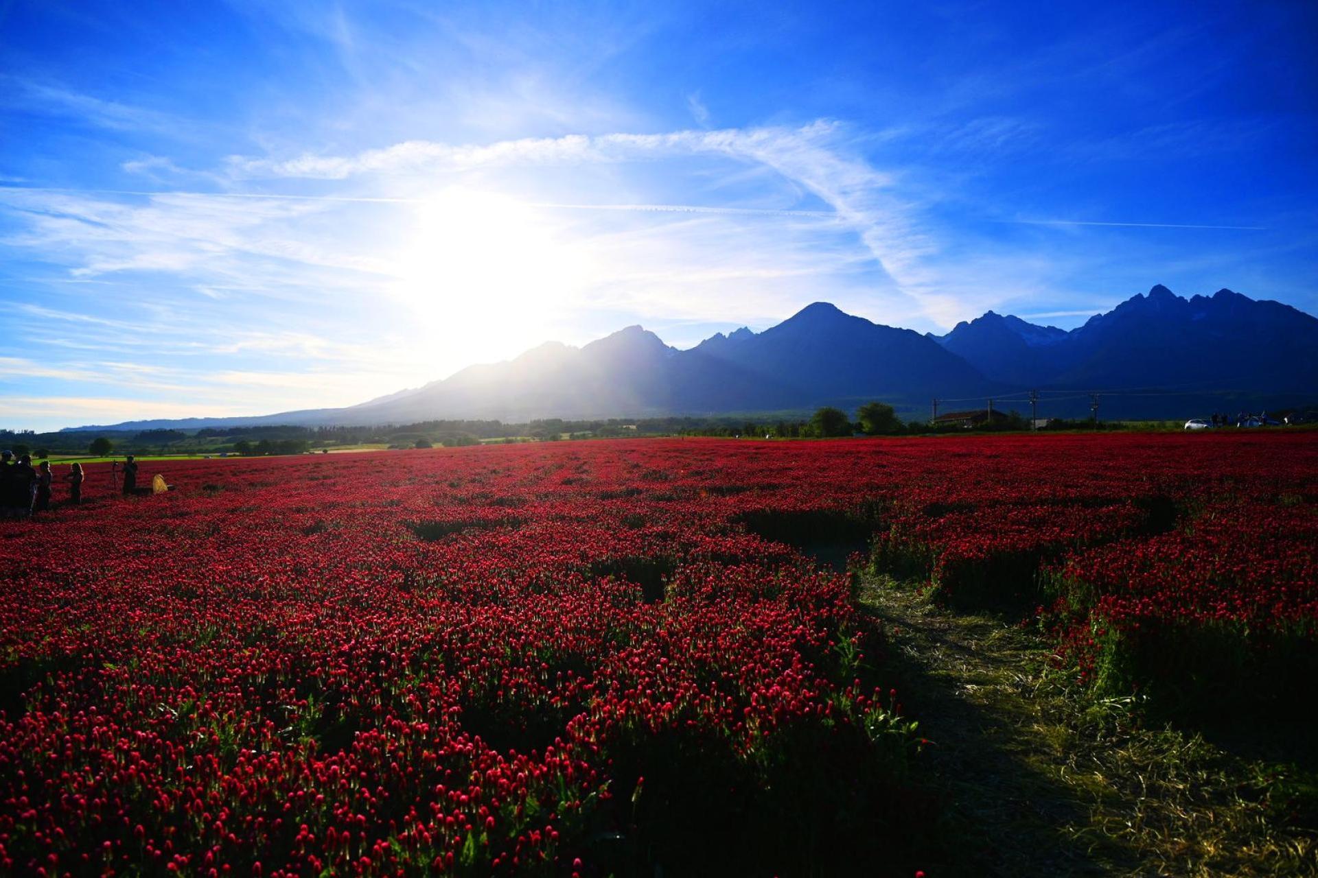 Tatry znów zachwycają kolorami. Tym razem króluje czerwień