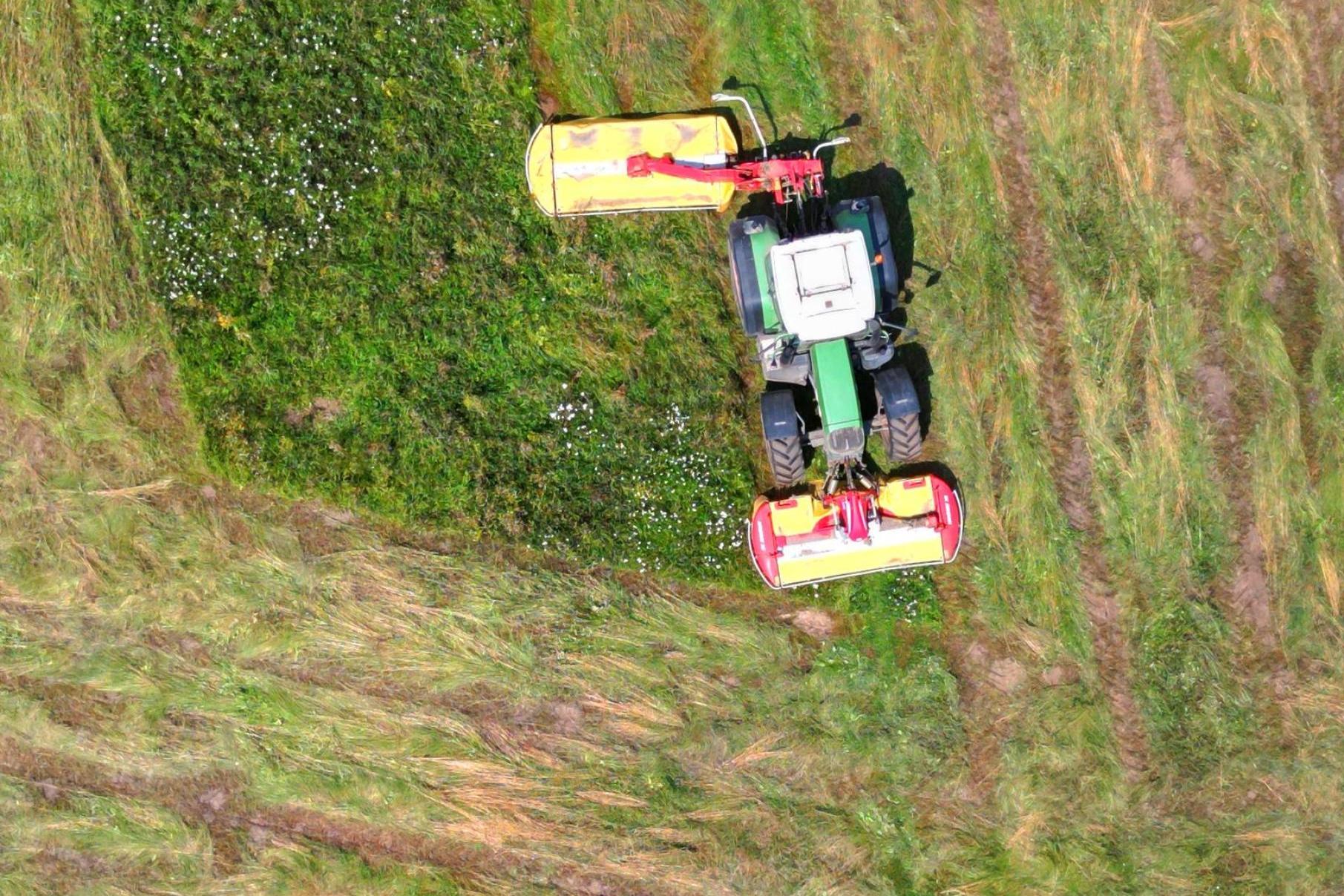 Jak pachnie świeżo skoszona trawa. Na Błoniach rozpoczęły się sianokosy