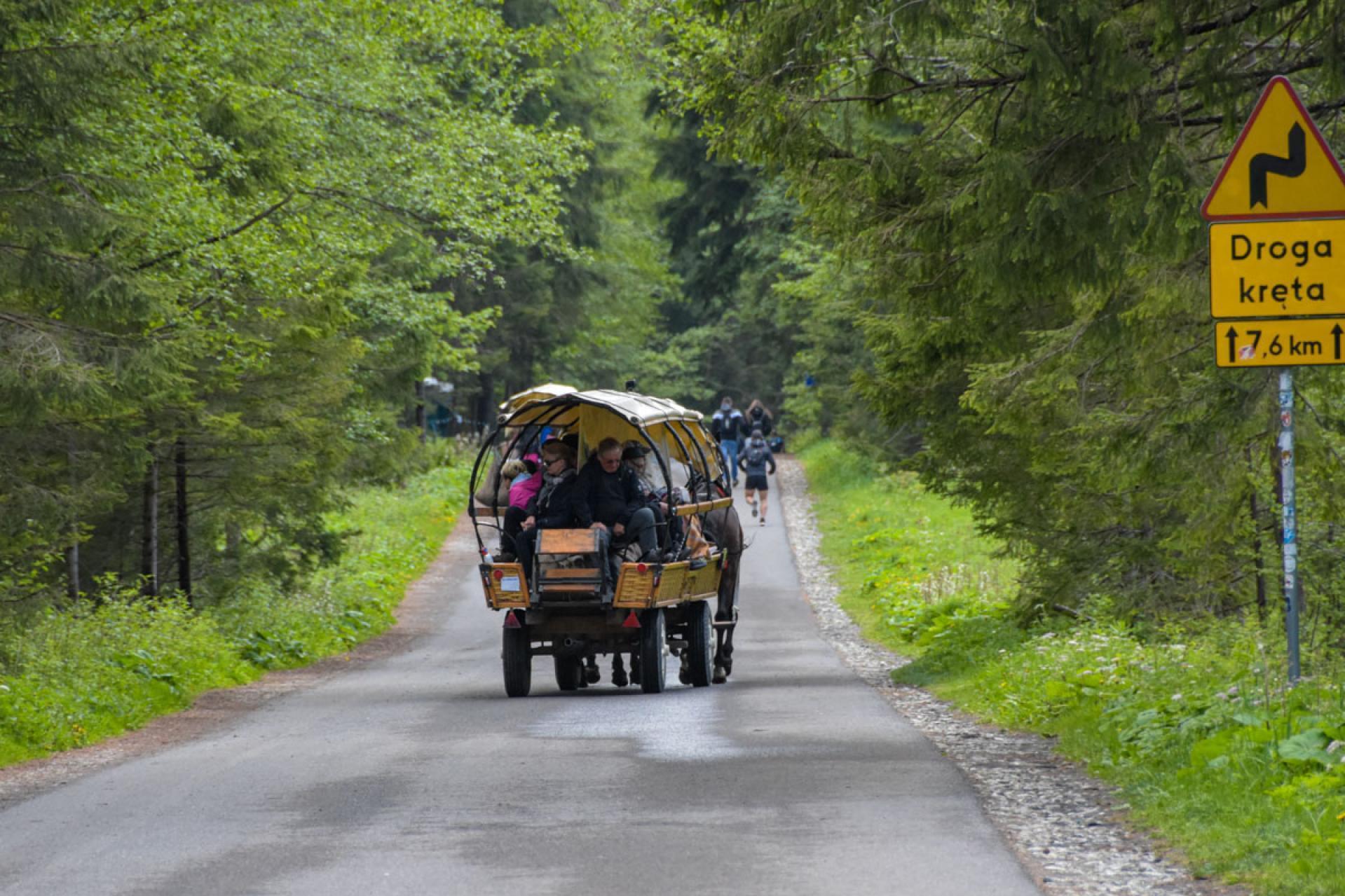 Upały zatrzymały przewozy konne do Morskiego Oka