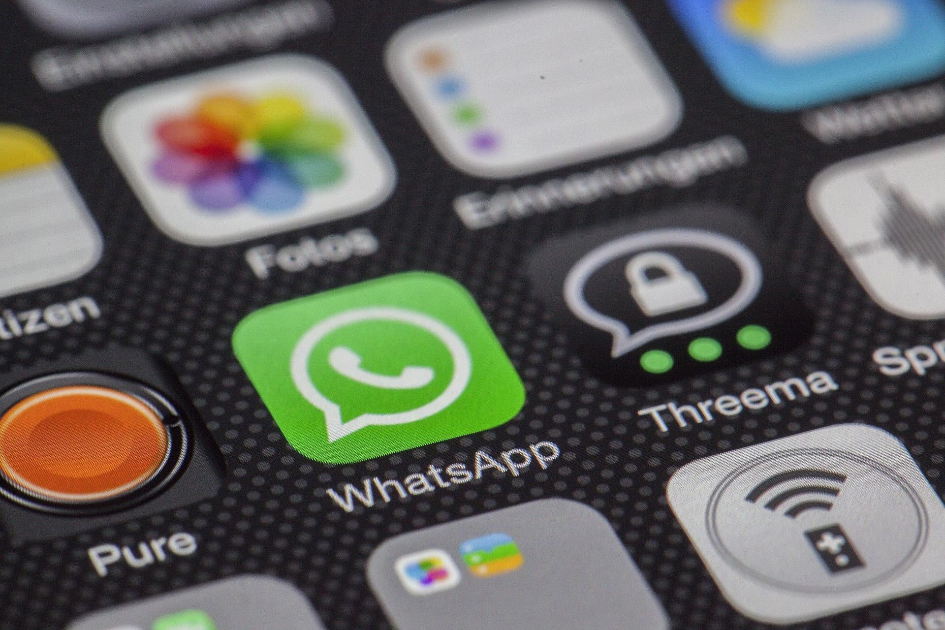 ?Zagłosuj na mojego psa?. Uwaga na oszustwo, które przejmuje WhatsAppa
