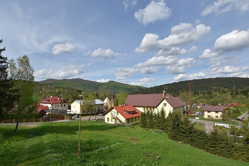 Cisna (fot. Henryk Bielamowicz/Wikipedia)