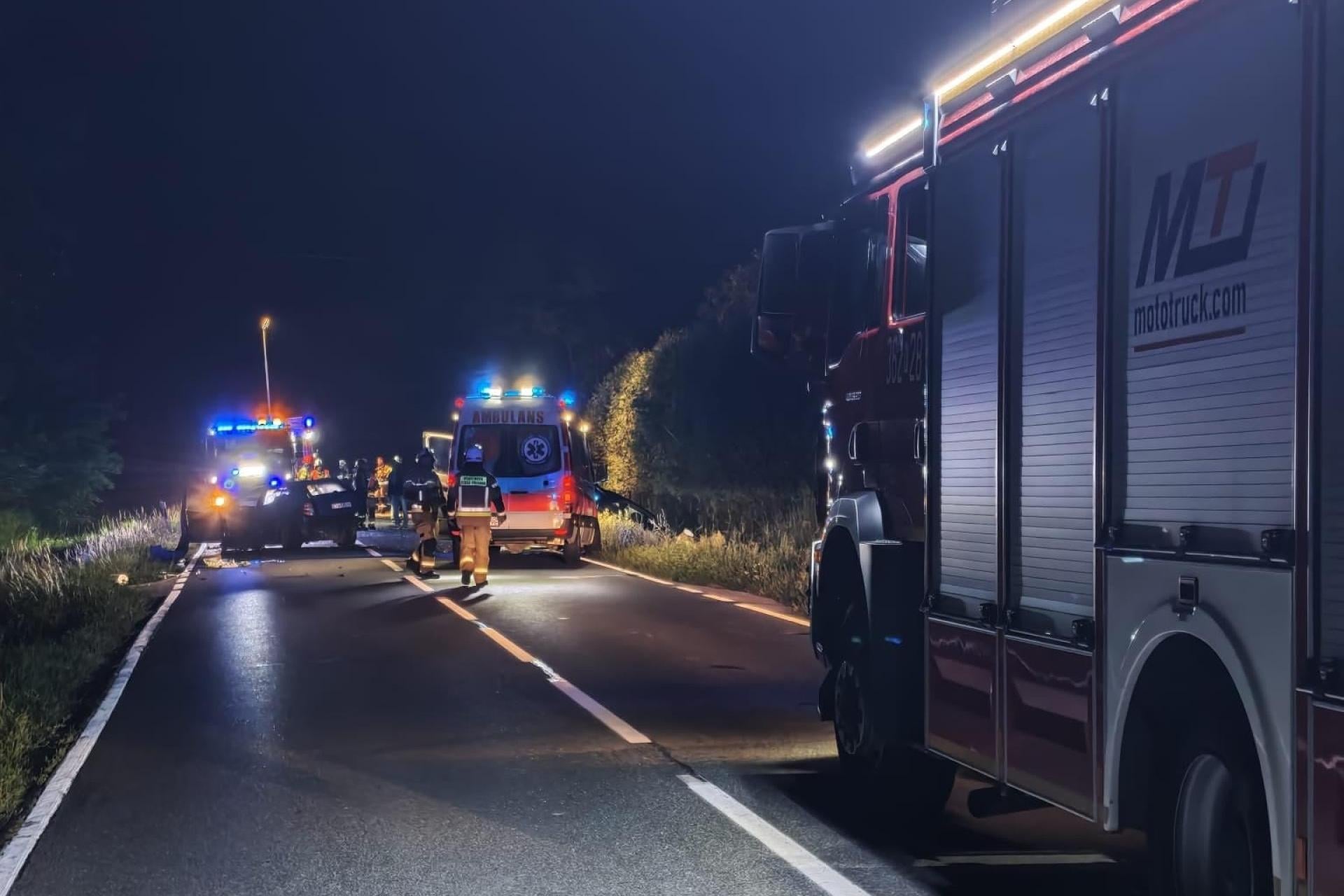 Niebezpieczny wieczór w Lisiej Górze. Najpierw łoś, później zderzenie czterech aut