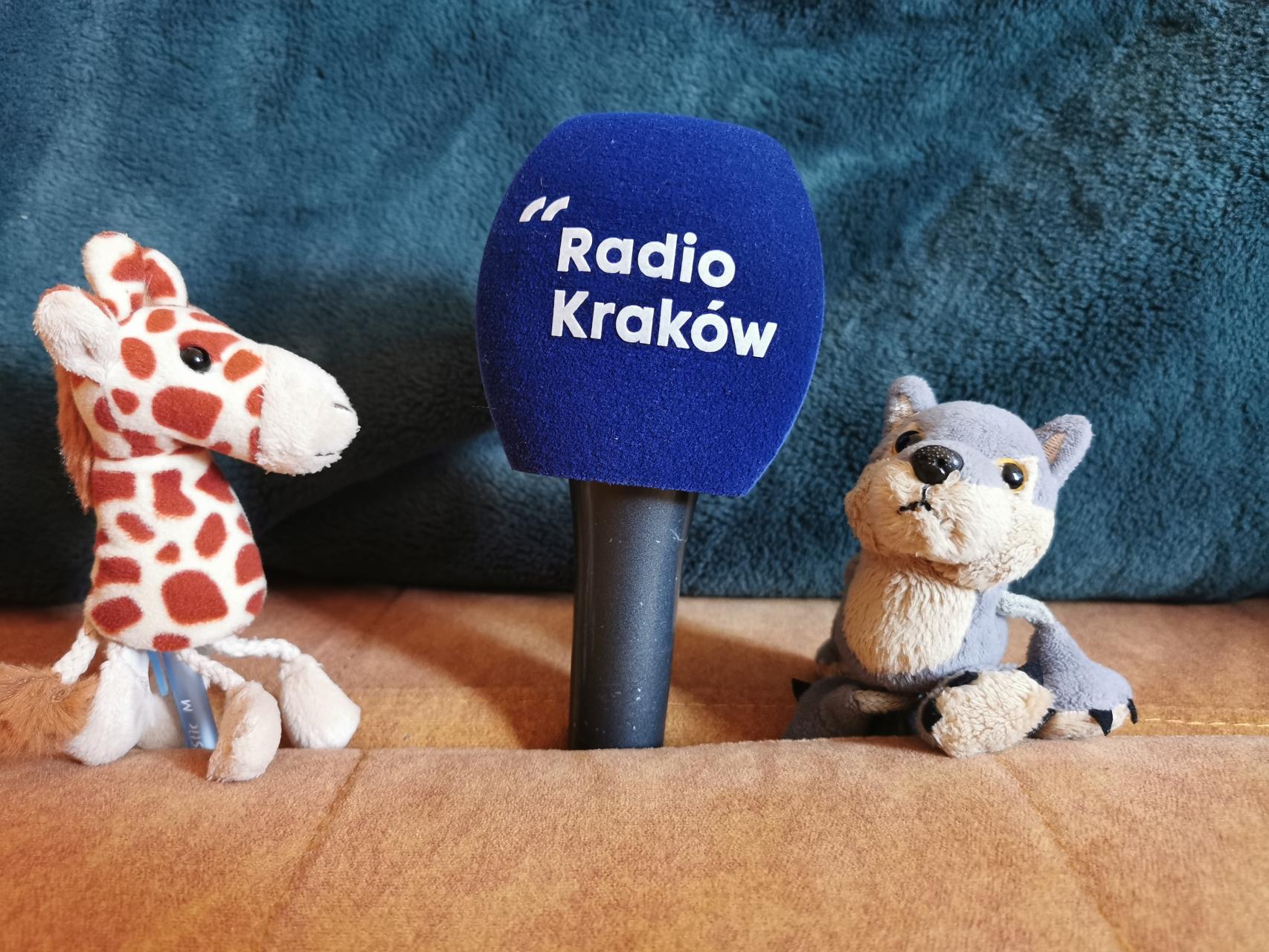 Przygód żyrafy i szakala ciąg dalszy czyli jak posłuchać wewnętrznego krytyka