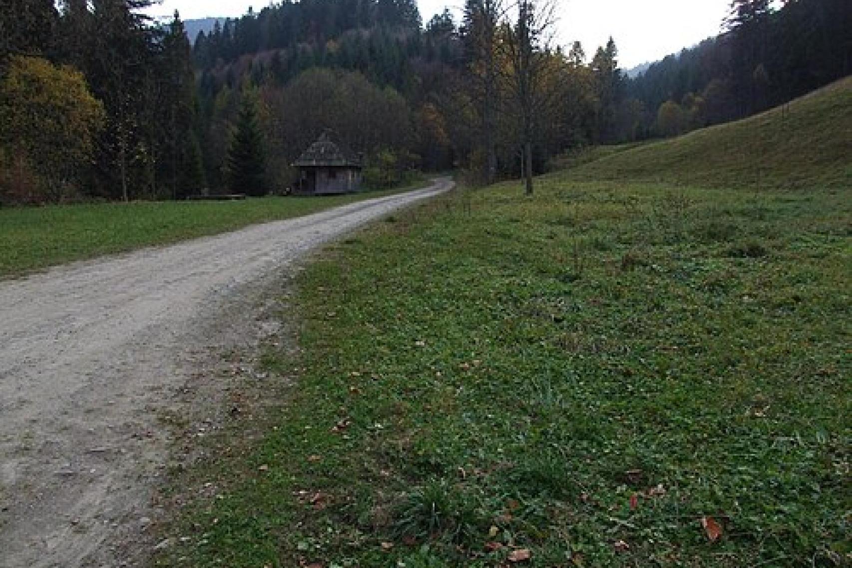 Utrudnienia w Gorcach. Popularny szlak z Koninek będzie całkowicie zamknięty