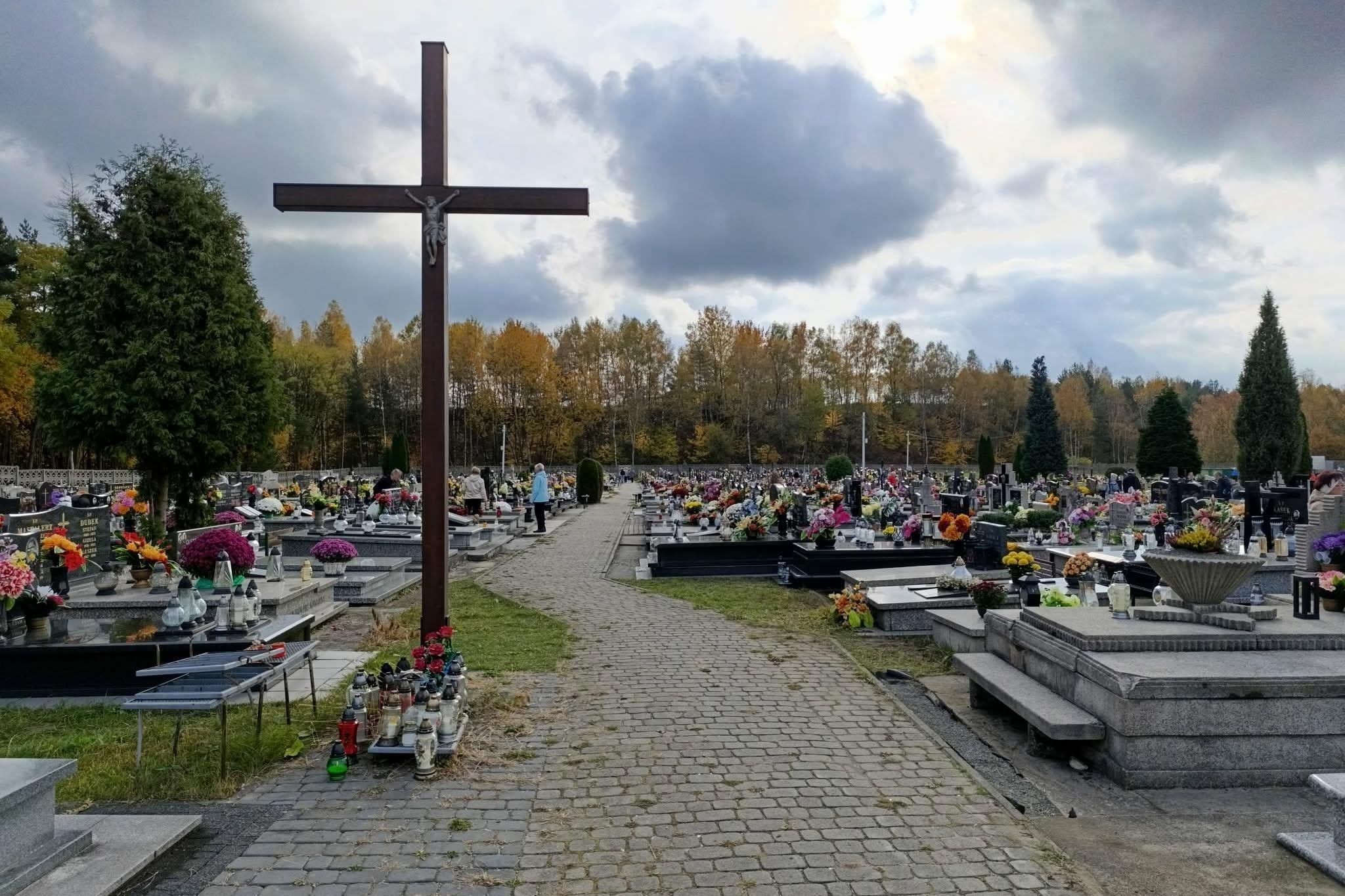 fot: Natalia Feluś