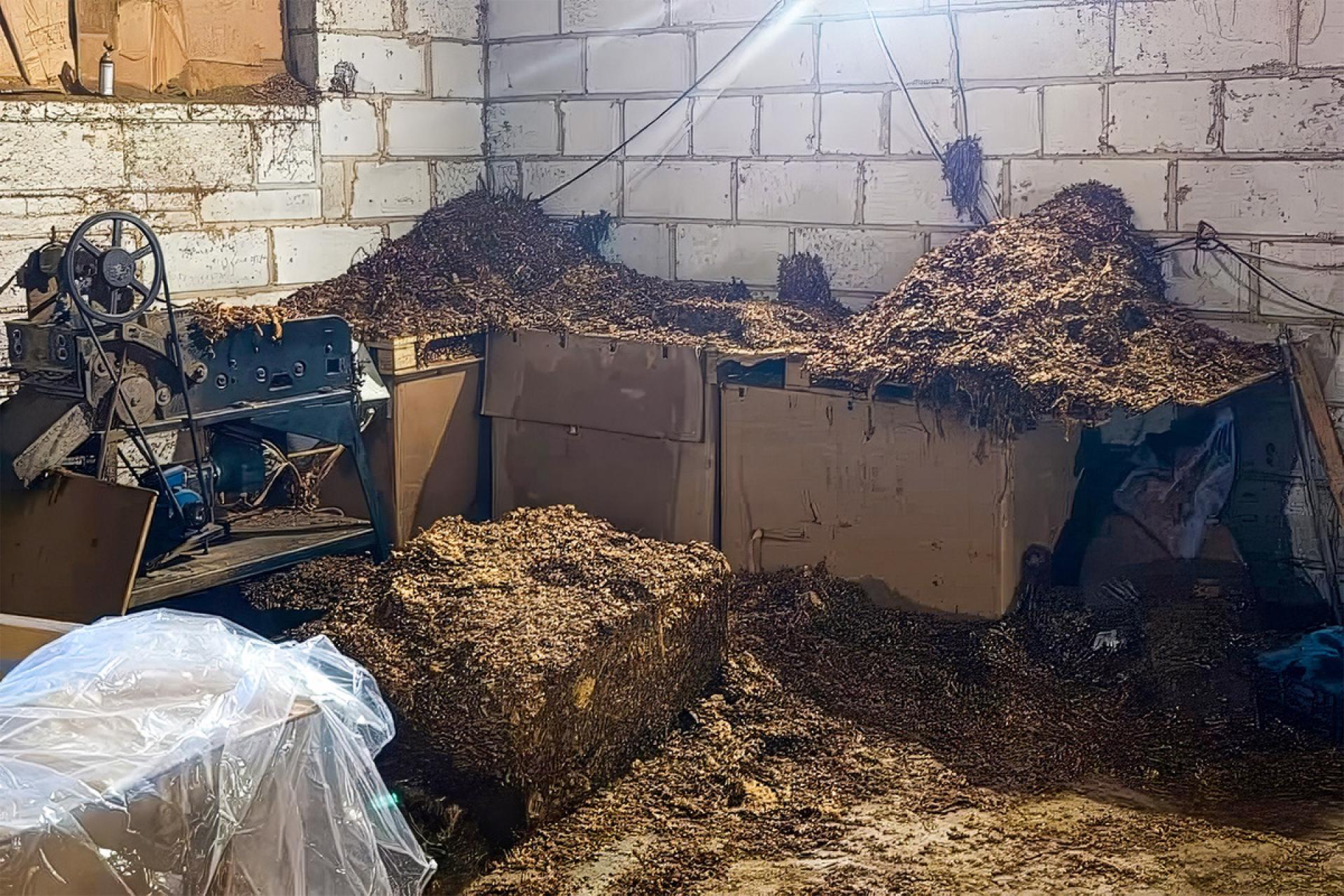 Nielegalna krajalnia tytoniu zlikwidowana. Zabezpieczono ponad 7 ton towaru