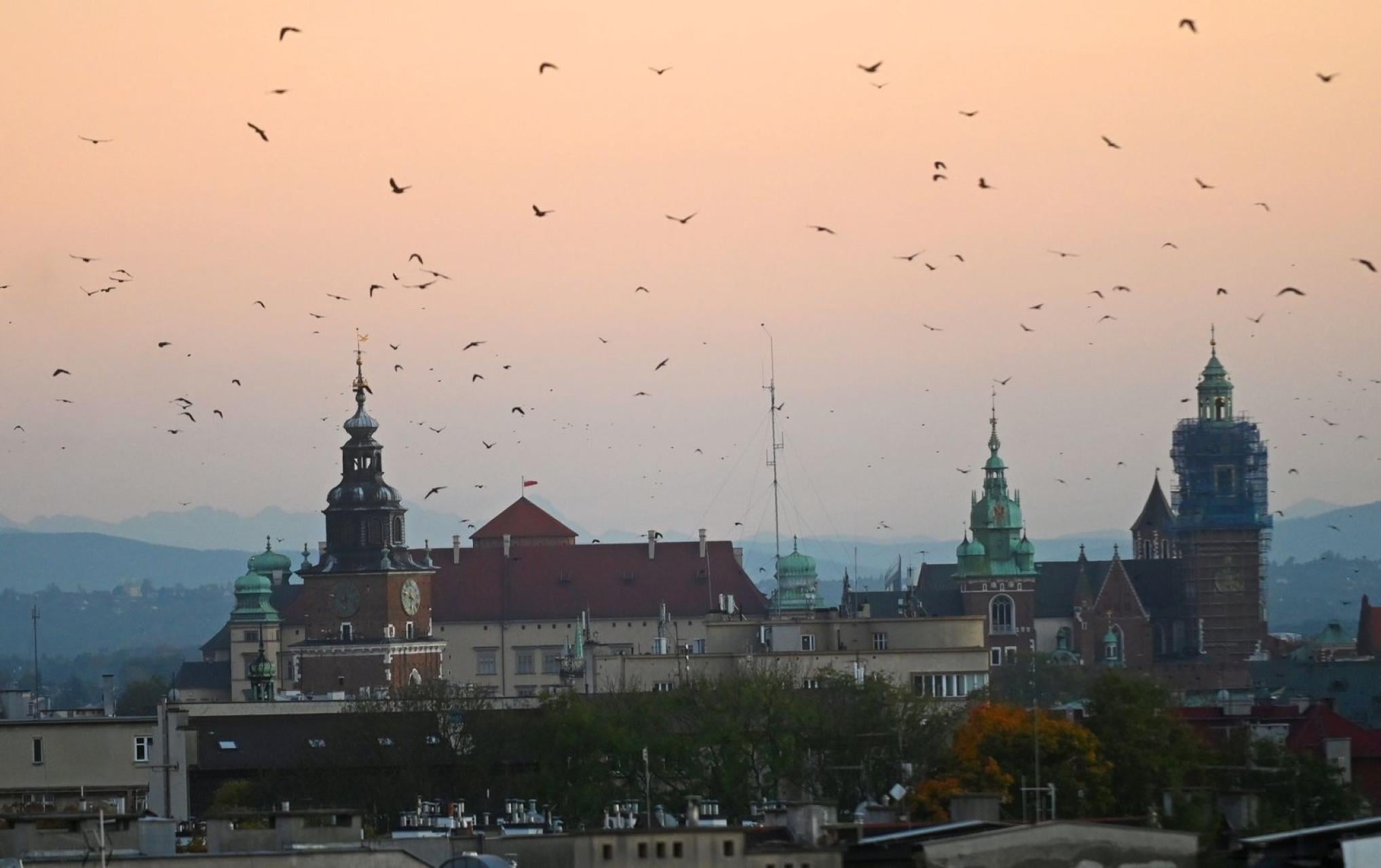 Za miesiąc przedterminowe wybory na prezydenta Krakowa. Ile osób chce wystartować?