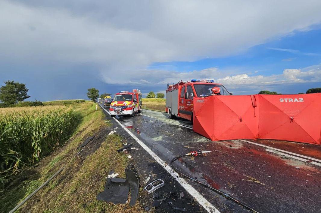 Śmiertelny wypadek na DK79. Nie żyje kierowca ciężarówki