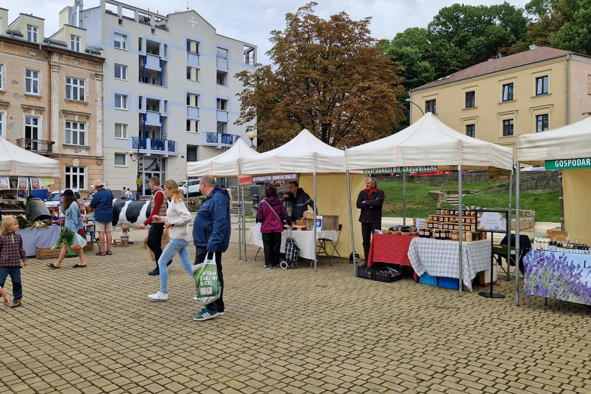 Warzywa, sery, miody i pstrąg. Regionalne smaki zawitały na Podgórze