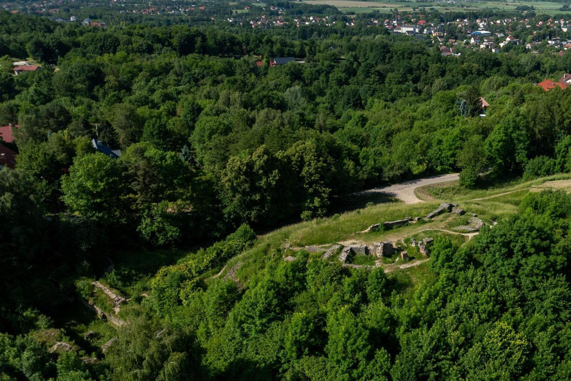 Tarnów chce odbudować część zamku Tarnowskich. Najpierw archeolodzy zajrzą pod ziemię