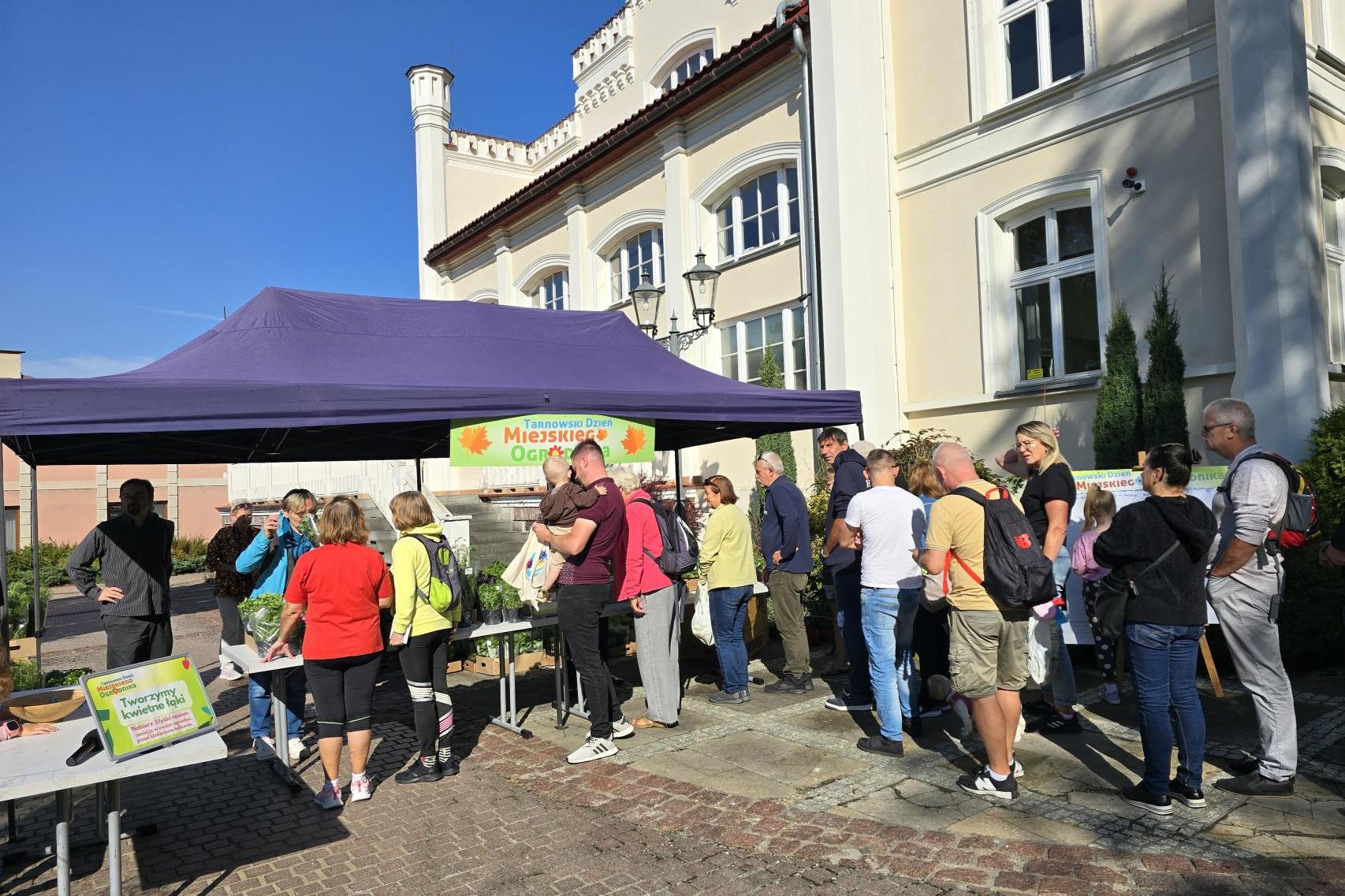 Tarnowianie ustawili się po zioła. Rozdano ponad 800 sadzonek