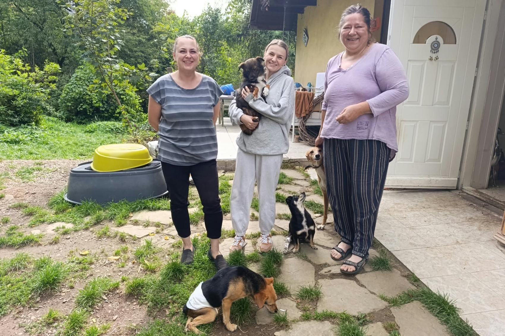 Pierwsze schronisko dla zwierząt w powiecie wadowickim? Fundacja szuka miejsca