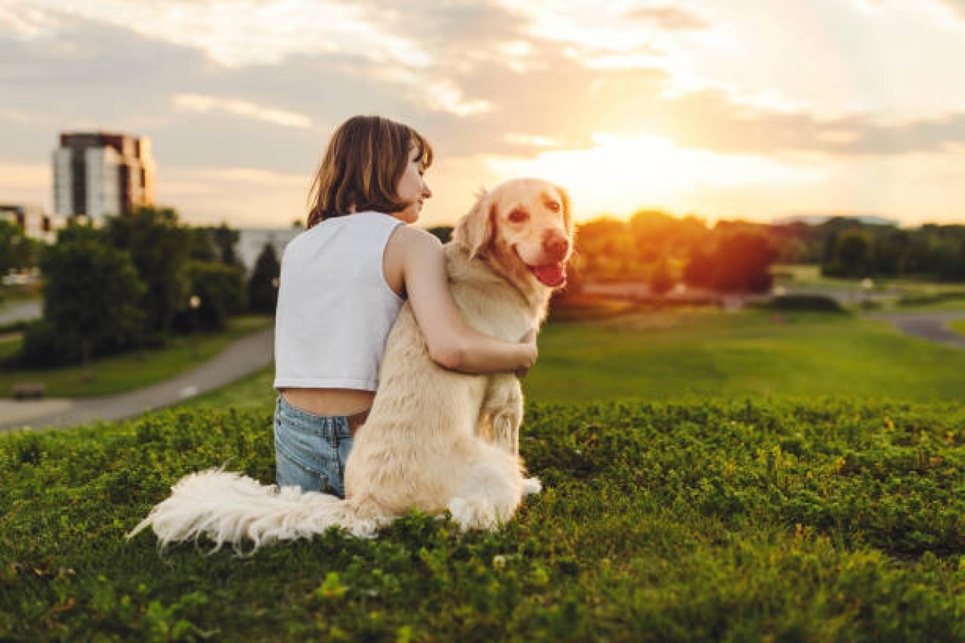 Wirtualne adopcje i realne marzenia