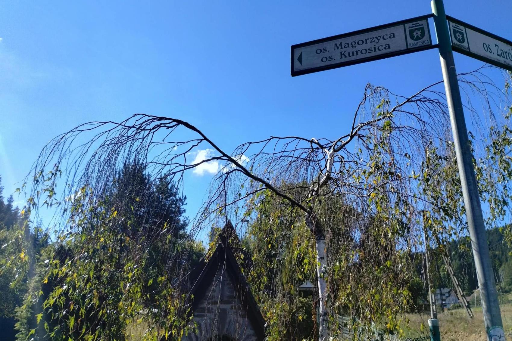 Jedno osiedle, dwie petycje. Mieszkańcy Magorzycy spierają się, do której gminy chcą należeć