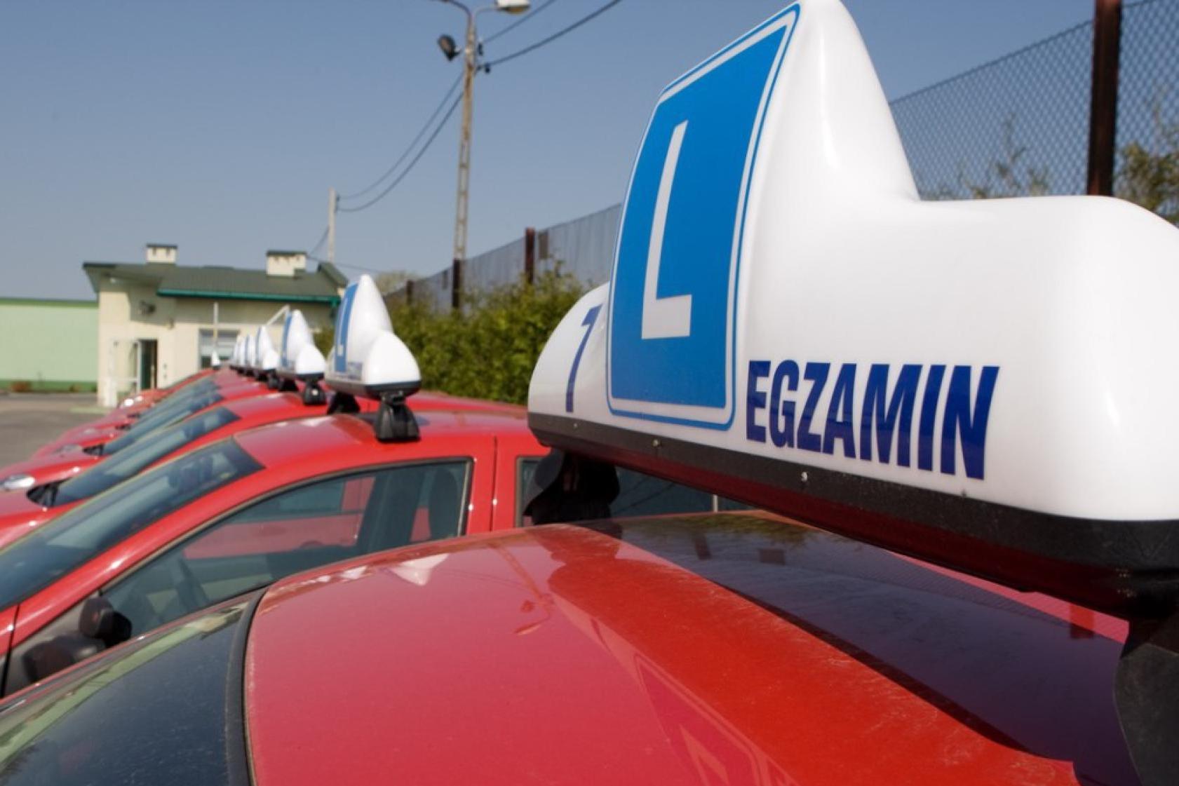 Mają prawo jazdy od lat, ale mogą je stracić. Rząd szykuje zmianę przepisów