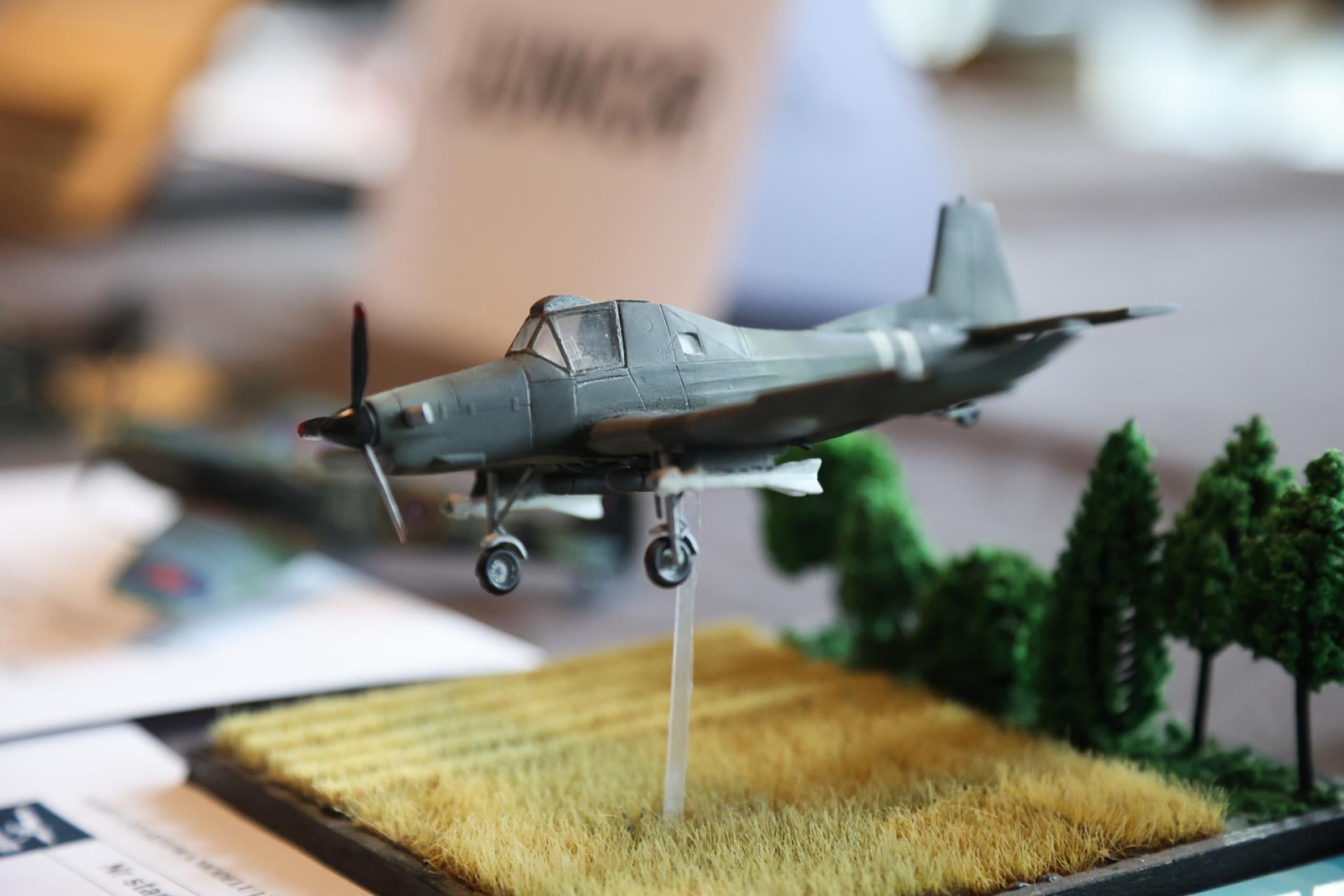 Miniaturowe samoloty zachwycają w Krakowie. ?Komisja będzie miała kłopot?