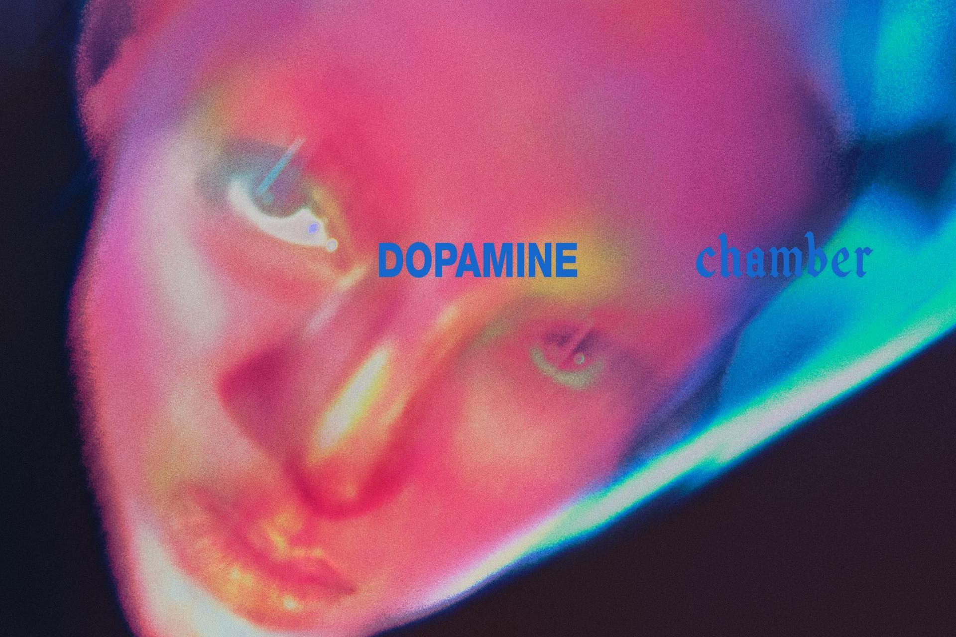 Fontaines D.C. Dopamine Chamber – Radio Kraków